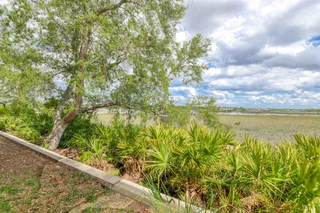 a view of a lake with a tree