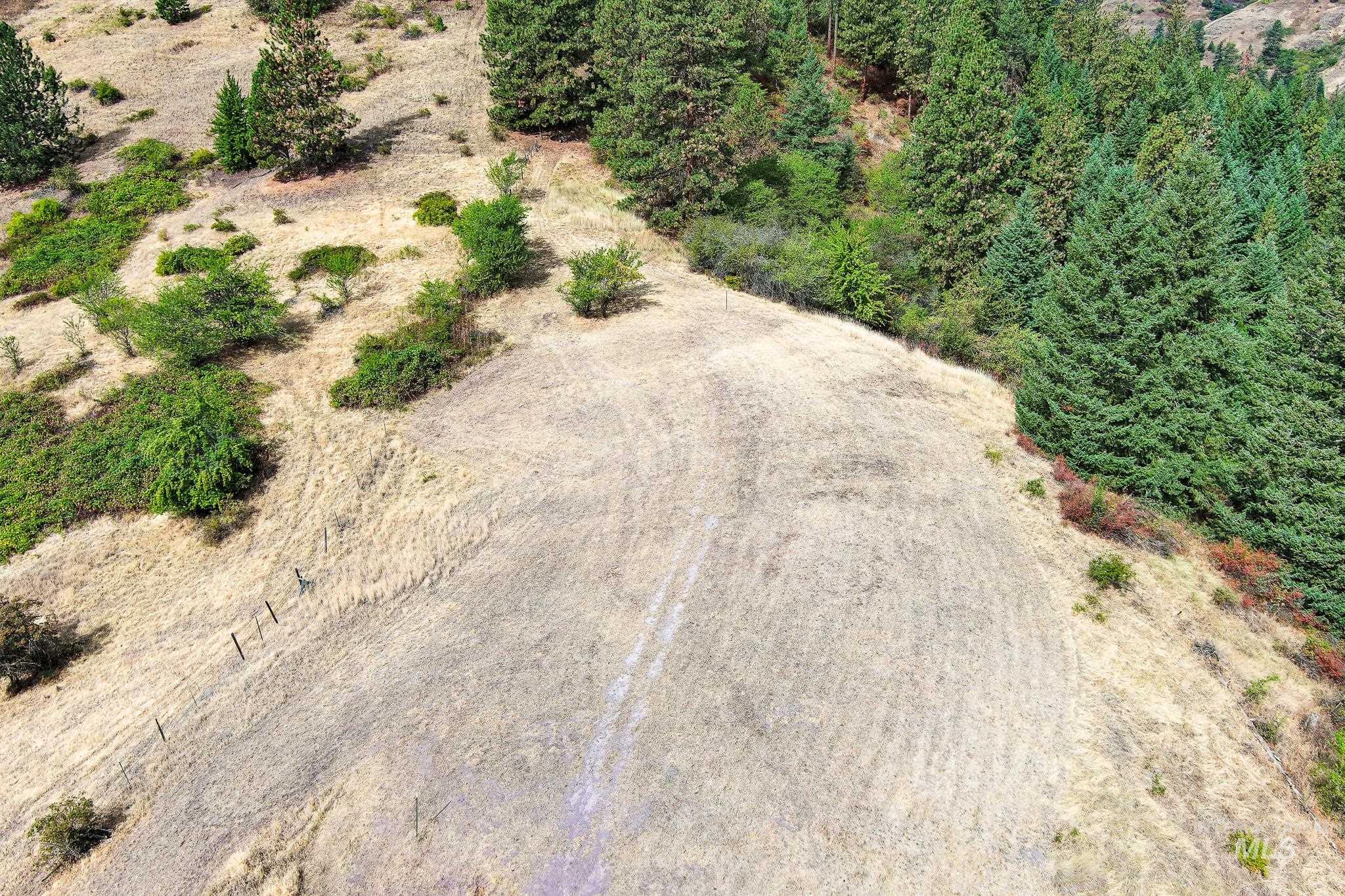 161 Saddle Ridge Road White Bird, ID 83554 - Photo 47 of 49 Expansive sloped terrain with scattered evergreen trees and natural vegetation