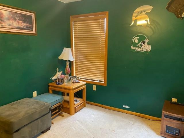 5185 Young Road Bellevue, MI 49021 - Photo 12 of 32 grn bedroom