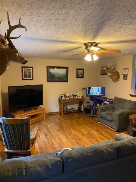 5185 Young Road Bellevue, MI 49021 - Photo 18 of 32 Lr w deer