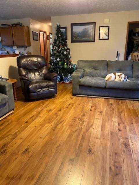 5185 Young Road Bellevue, MI 49021 - Photo 19 of 32 lr with tree
