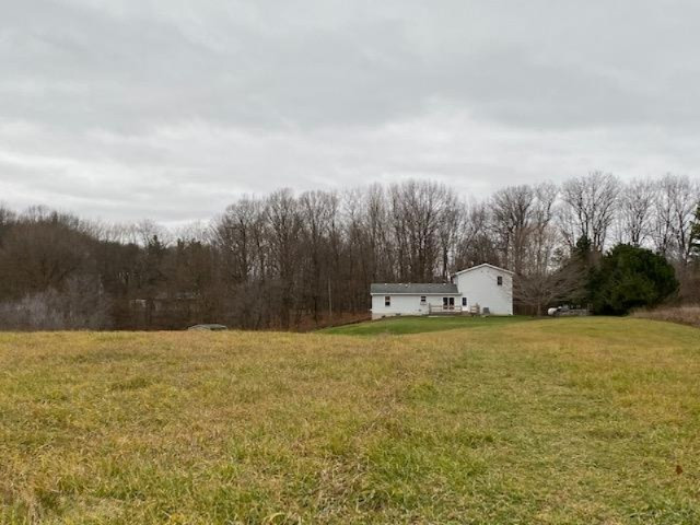 5185 Young Road Bellevue, MI 49021 - Photo 25 of 32 rear house from distance