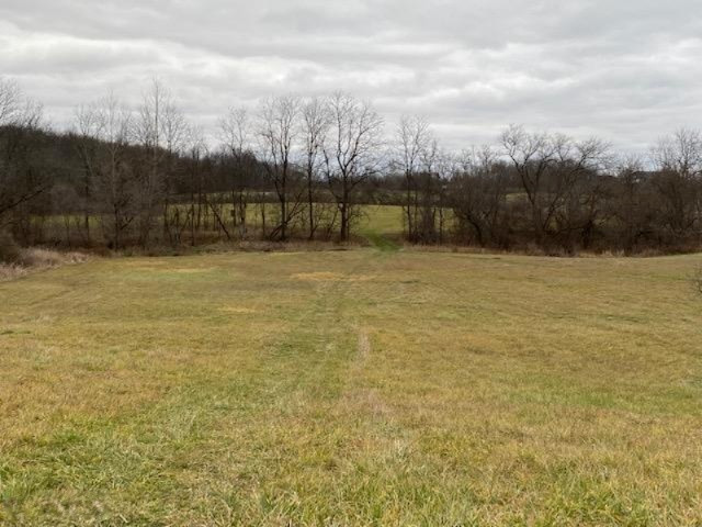 5185 Young Road Bellevue, MI 49021 - Photo 28 of 32 rear yard out back