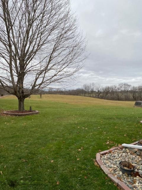5185 Young Road Bellevue, MI 49021 - Photo 29 of 32 rear yard