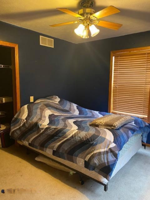 5185 Young Road Bellevue, MI 49021 - Photo 5 of 32 blu bedroom