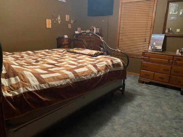 5185 Young Road Bellevue, MI 49021 - Photo 6 of 32 brn bedroom