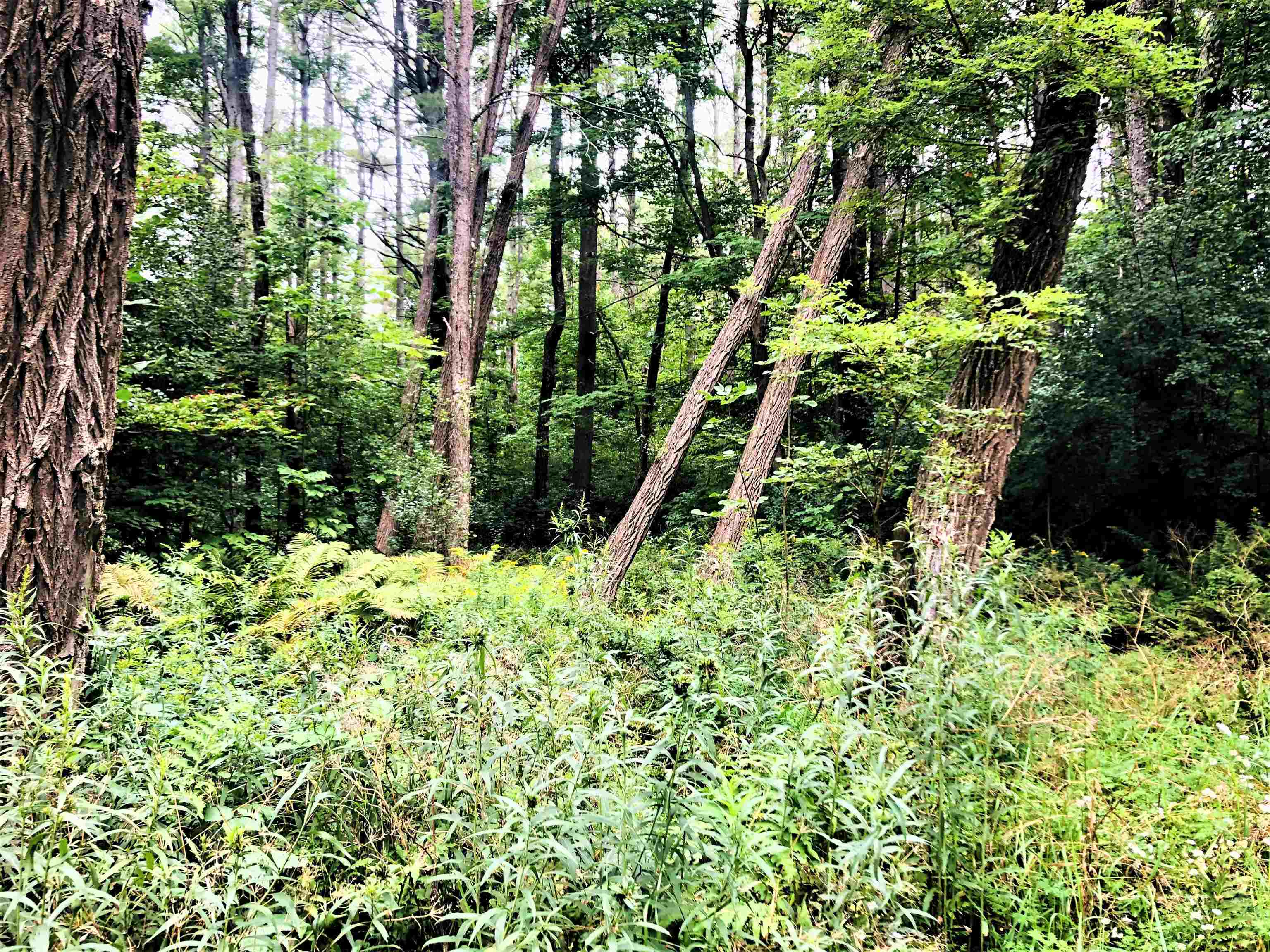 0 Fish Hill Road, Unit LOT 10 Randolph, VT 05060 - Photo 4 of 8