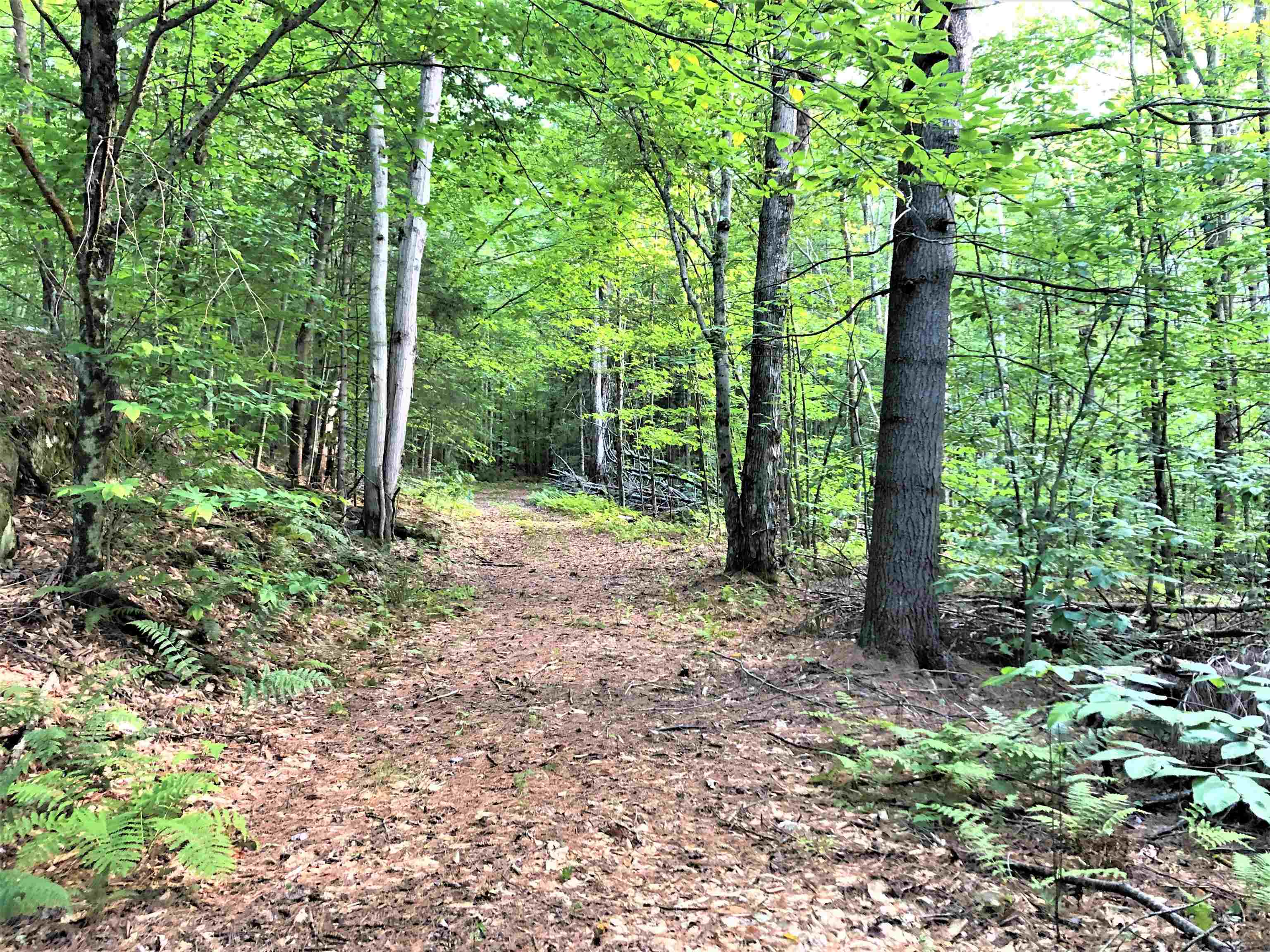 0 Fish Hill Road, Unit LOT 10 Randolph, VT 05060 - Photo 5 of 8