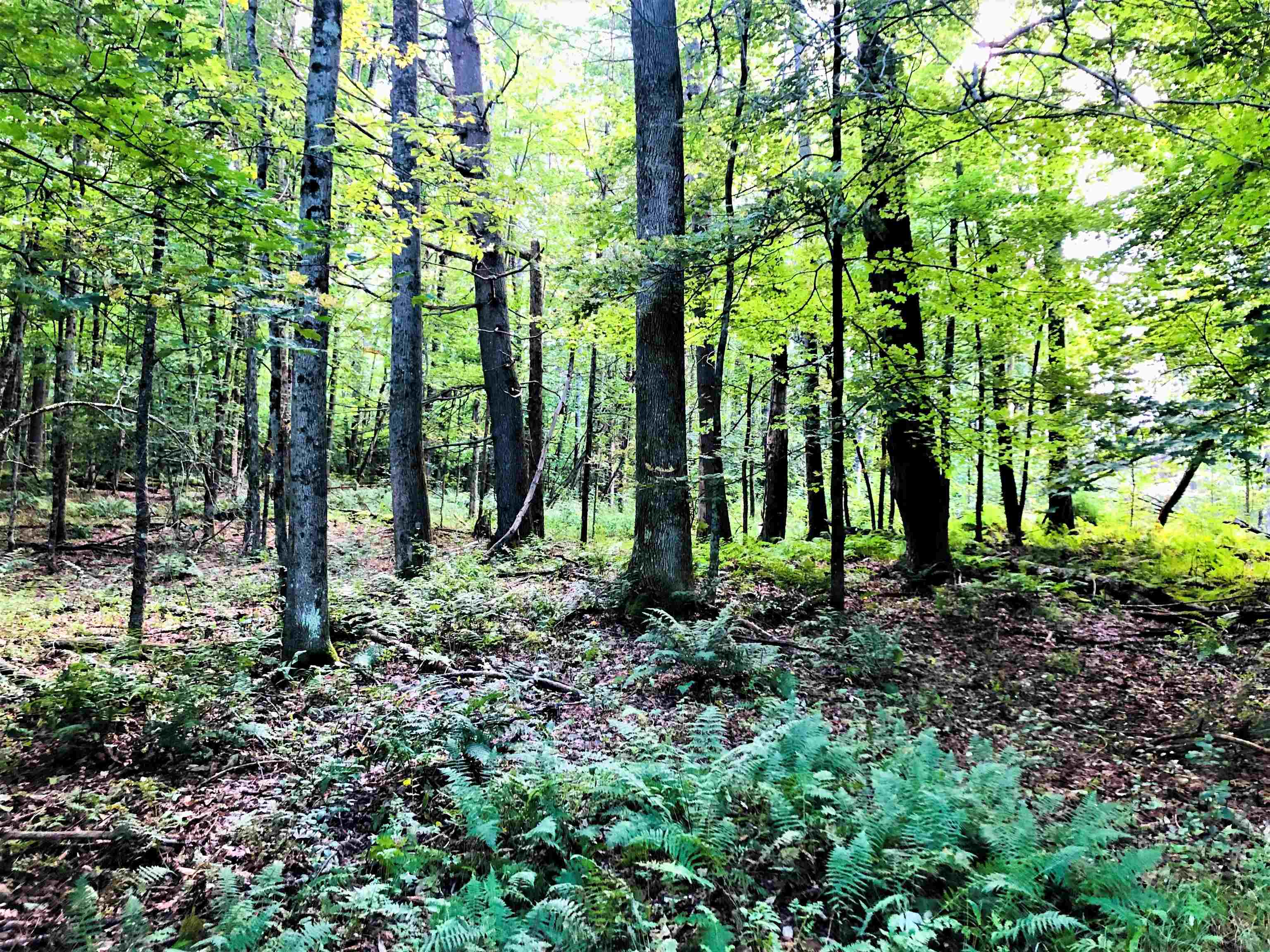 0 Fish Hill Road, Unit LOT 10 Randolph, VT 05060 - Photo 7 of 8