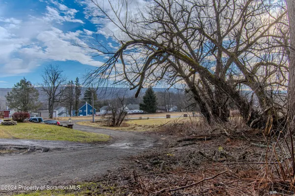 a backyard of apartments with large trees