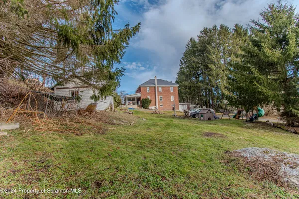 a view of a big yard with plants and large trees