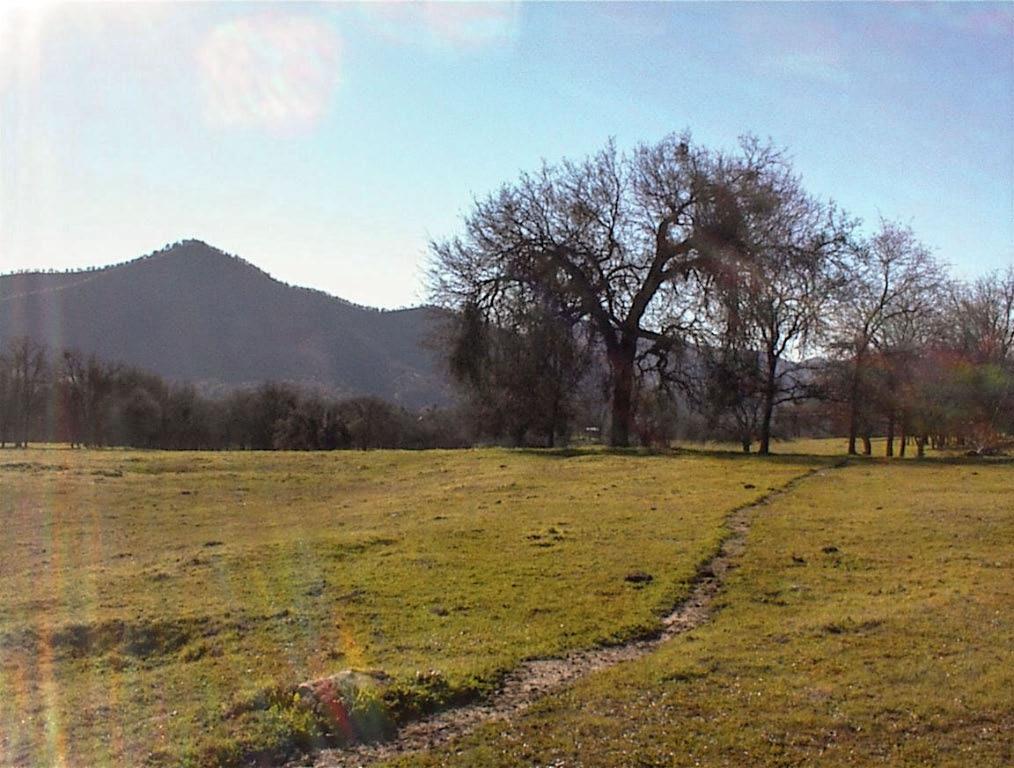 39950 Millwood Road Dunlap, CA 93621 - Photo 10 of 72 Gallery Image 10