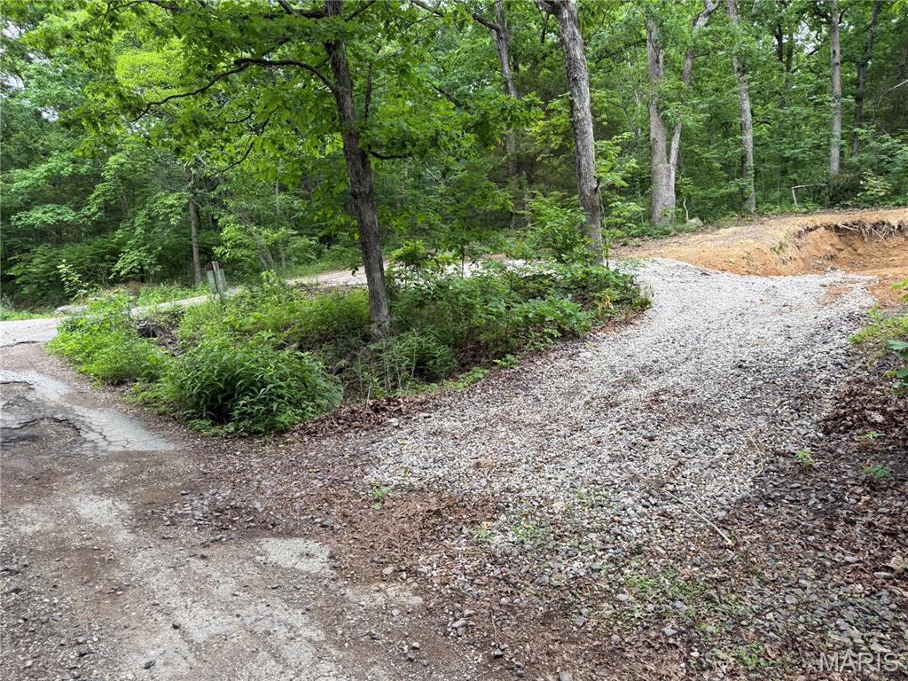 0 Lot 84 Mallard Road Middle Brook, MO 63656 - Photo 3 of 11