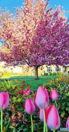 $725,000 | 2 Forest Court, Zion Crossroads, VA 22942