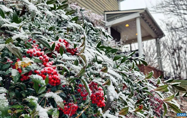 $729,000 | 2 Forest Court, Zion Crossroads, VA 22942