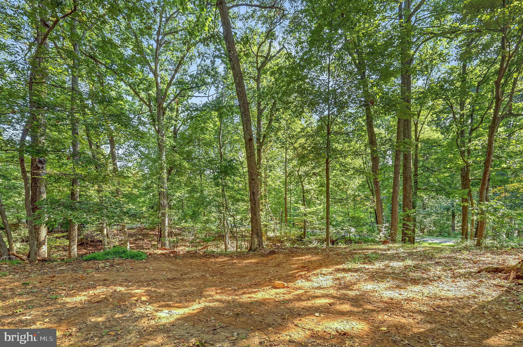 2254 Mountain Road Haymarket, VA 20169 - Photo 38 of 41