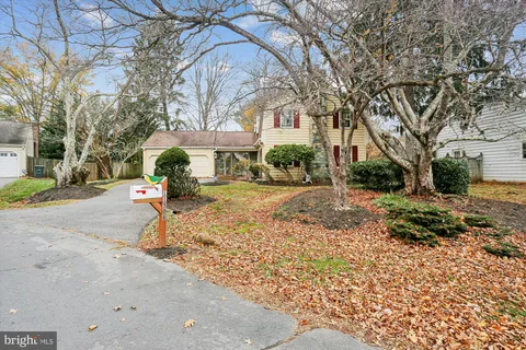 a street view with large trees