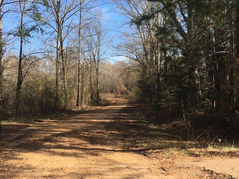 1880 Robinson Road Carthage, MS 39051 - Photo 3 of 10 Photo 3