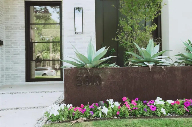 a view of a flower in a yard