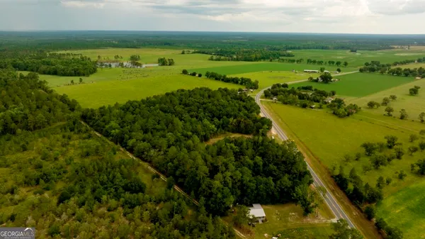 a view of a garden with a lake