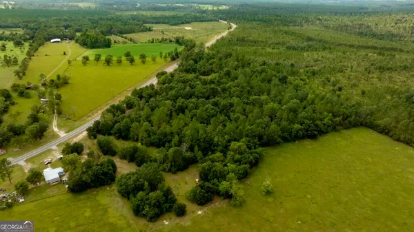a view of a lush green space