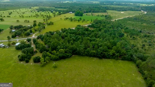 a view of a green field with lots of plants in it