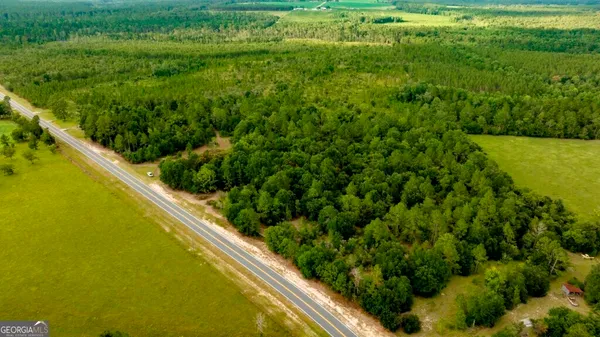 a view of a yard with plants