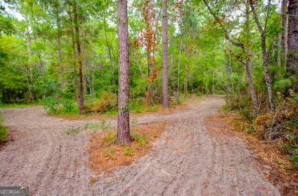 a view of a yard with trees