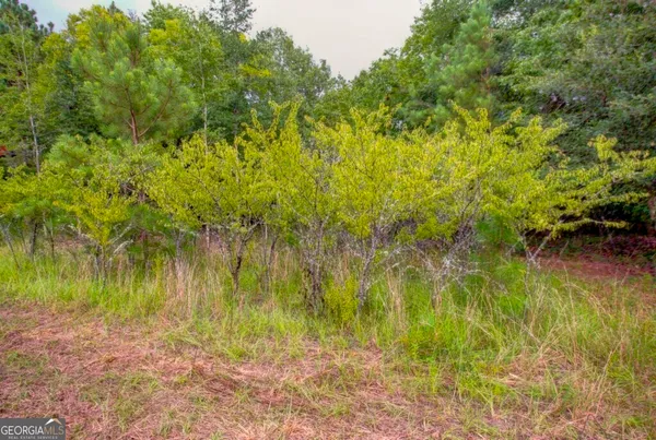 a view of a yard with a lake view