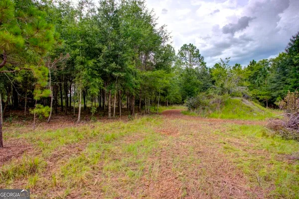 a view of backyard with swimming pool