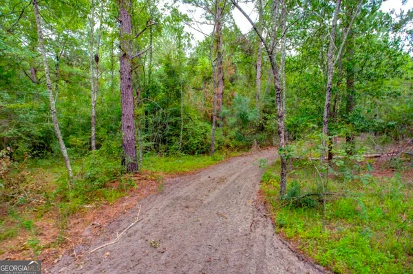 a view of a park with large trees