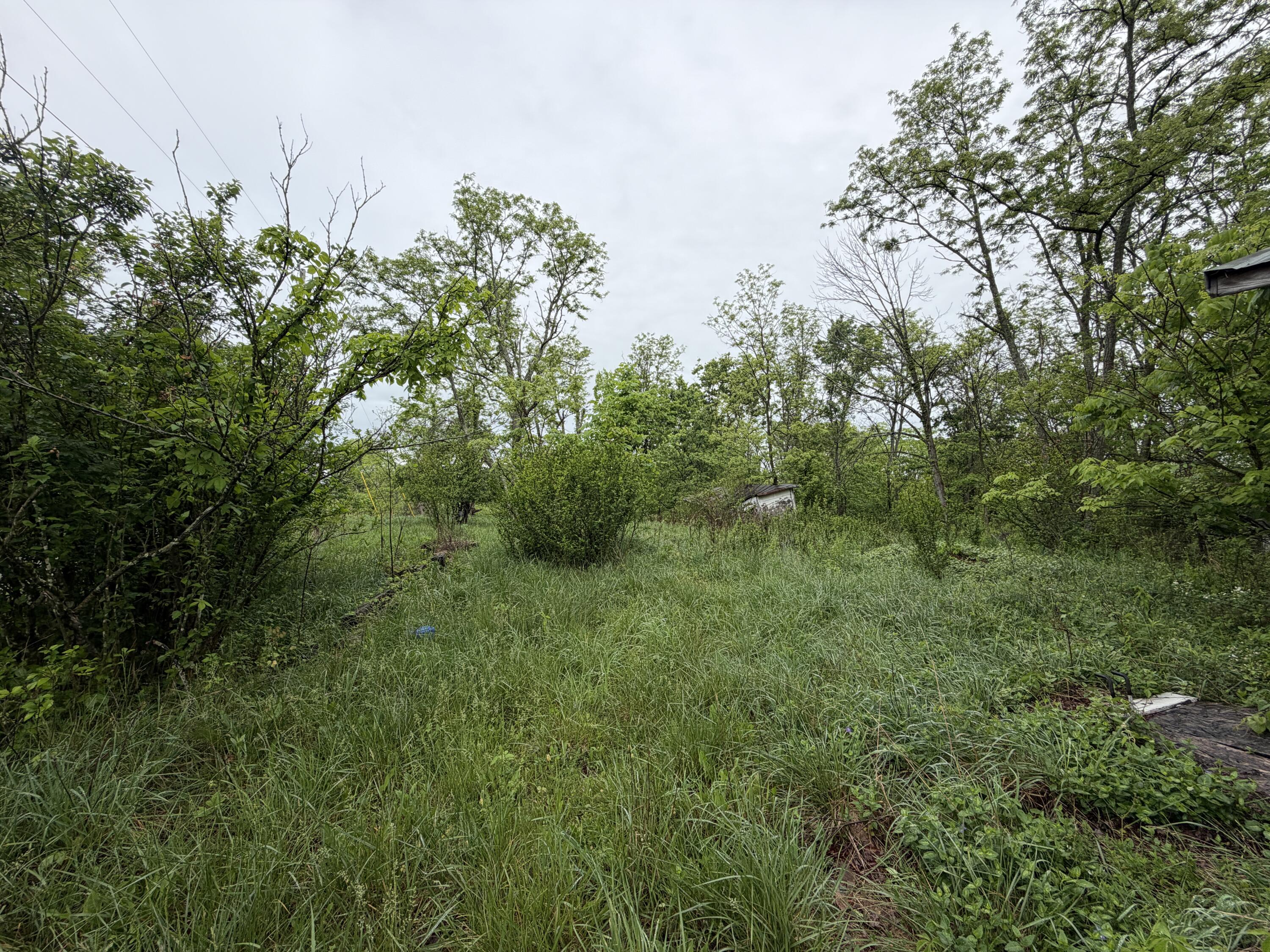 2728 Pea Ridge Road Germantown, KY 41044 - Photo 5 of 11
