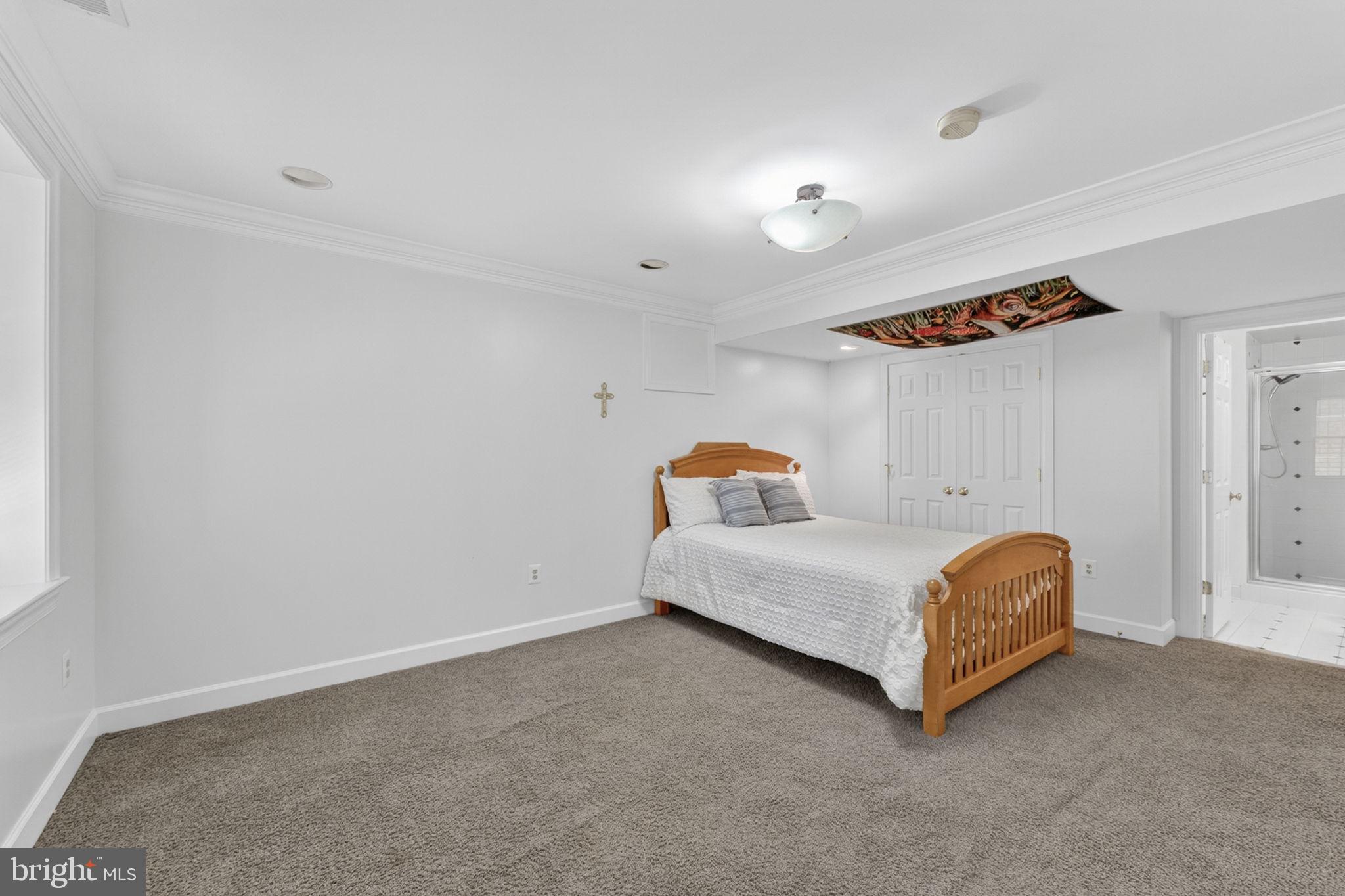 4531 Den Haag Road Warrenton, VA 20187 - Photo 80 of 103 Bedroom #4