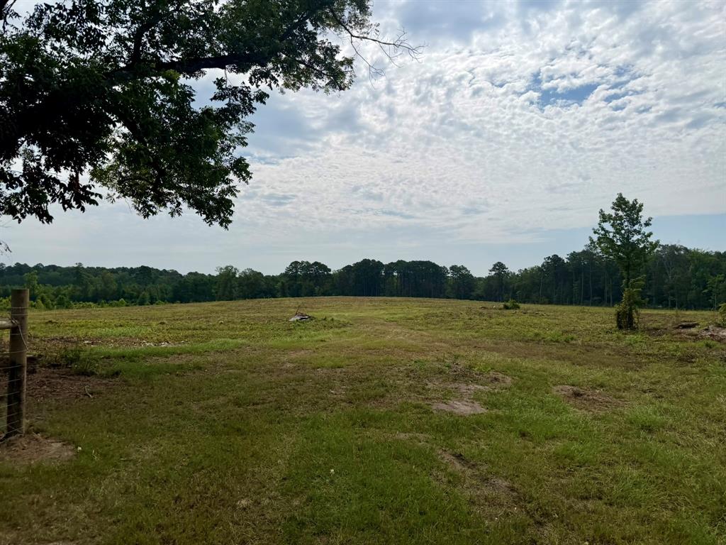 151 Campbell Road Converse, LA 71419 - Photo 11 of 19 Gallery Image 11
