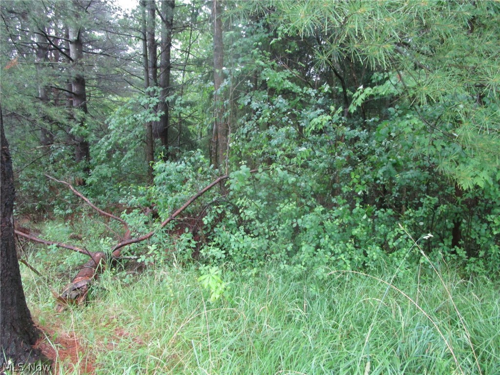 Vl Callender Road Rock Creek, OH 44084 - Photo 2 of 6