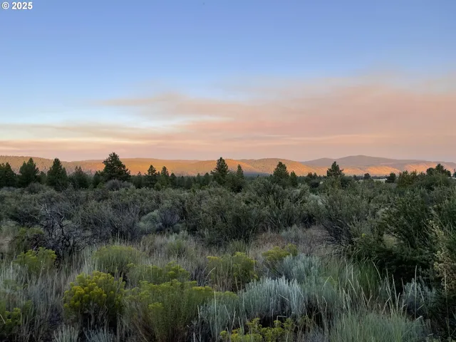 a view of a lake and green valley