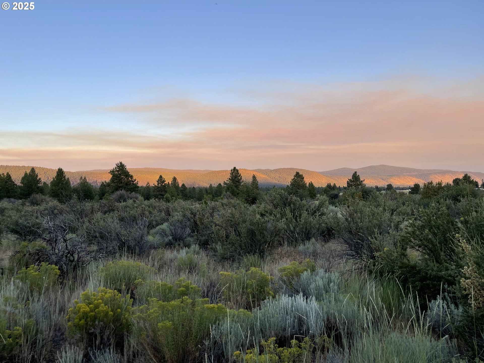 a view of a lake and green valley