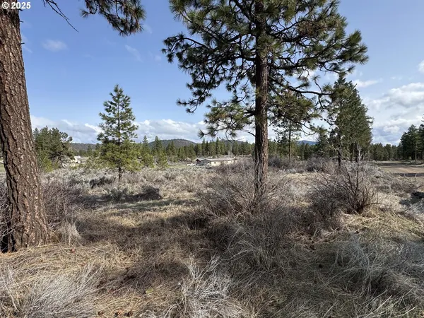 a view of a lake in between two of trees
