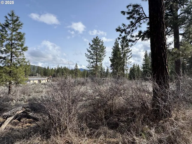 $21,000 | Copperfield Drive, Unit 5, Chiloquin, OR 97624