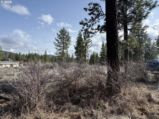 $21,000 | Copperfield Drive, Unit 5, Chiloquin, OR 97624