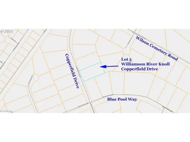 a view of a covered with trees in the background