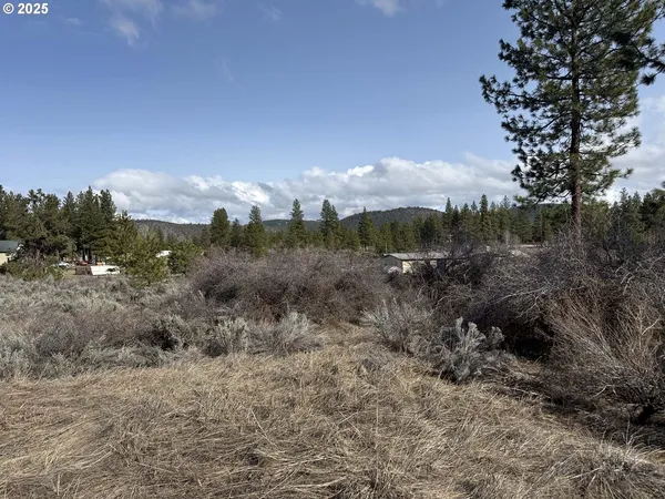 a view of a field