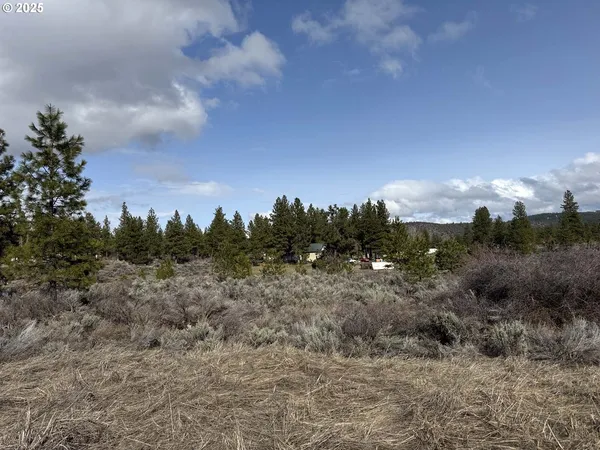 a view of a dry yard with lots of green space
