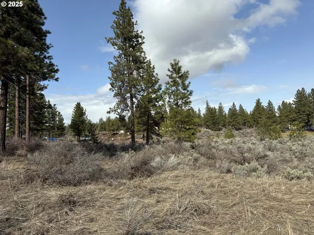 a view of a dry yard with lots of green space