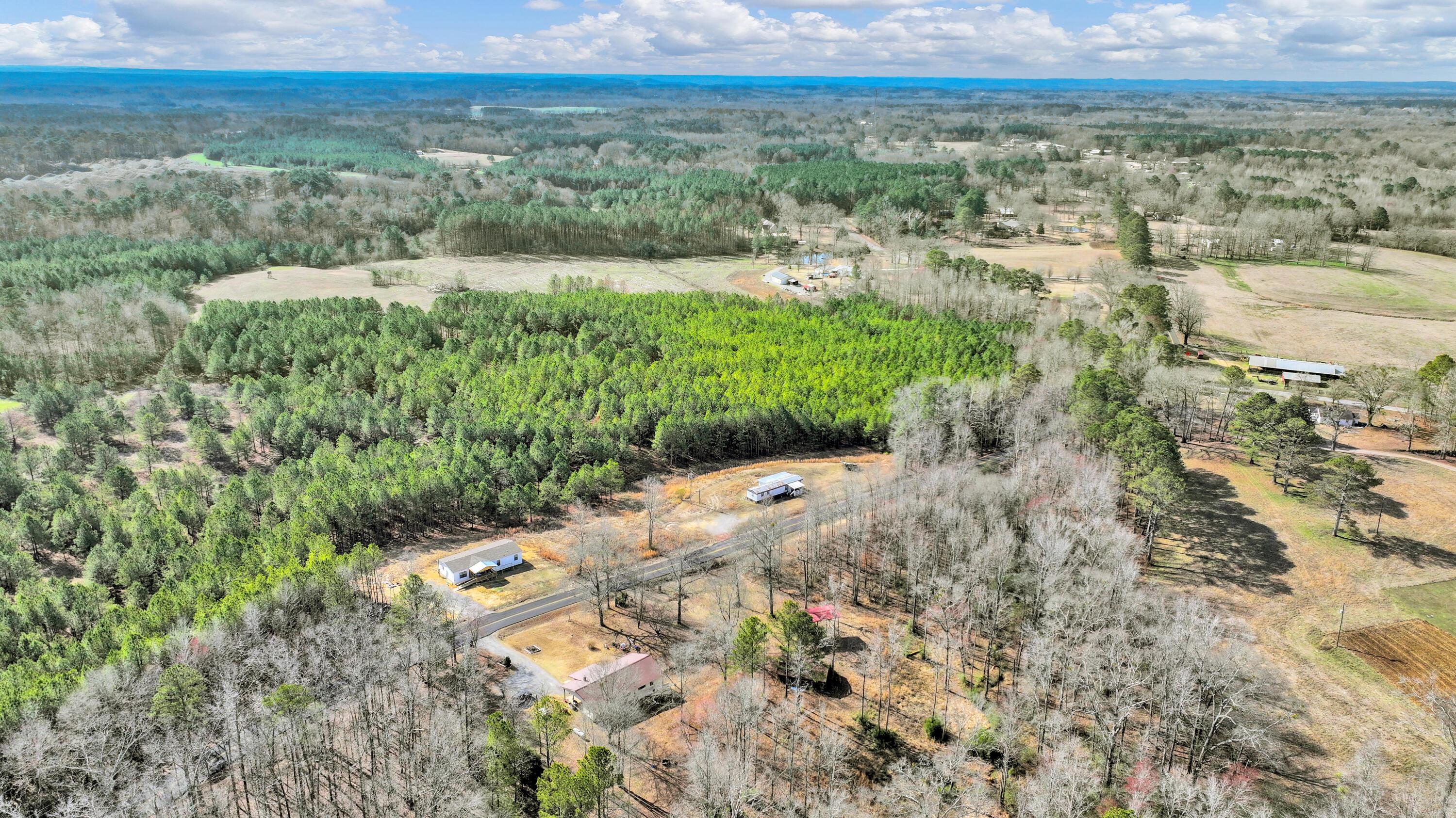 Lot 2 Duncan Road Nauvoo, AL 35578 - Photo 14 of 28 Gallery Image 14