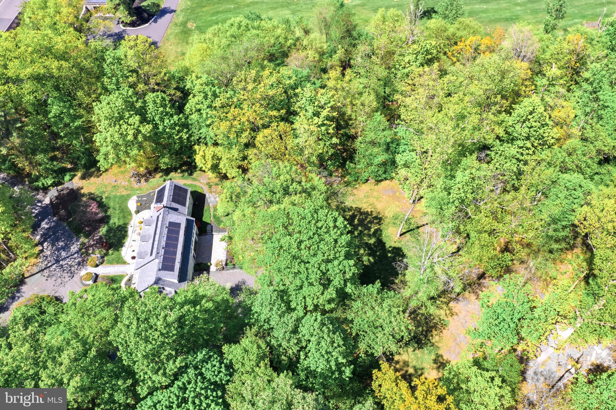 4511 Province Line Road Princeton, NJ 08540 - Photo 31 of 34 a view of a yard with plants and large trees