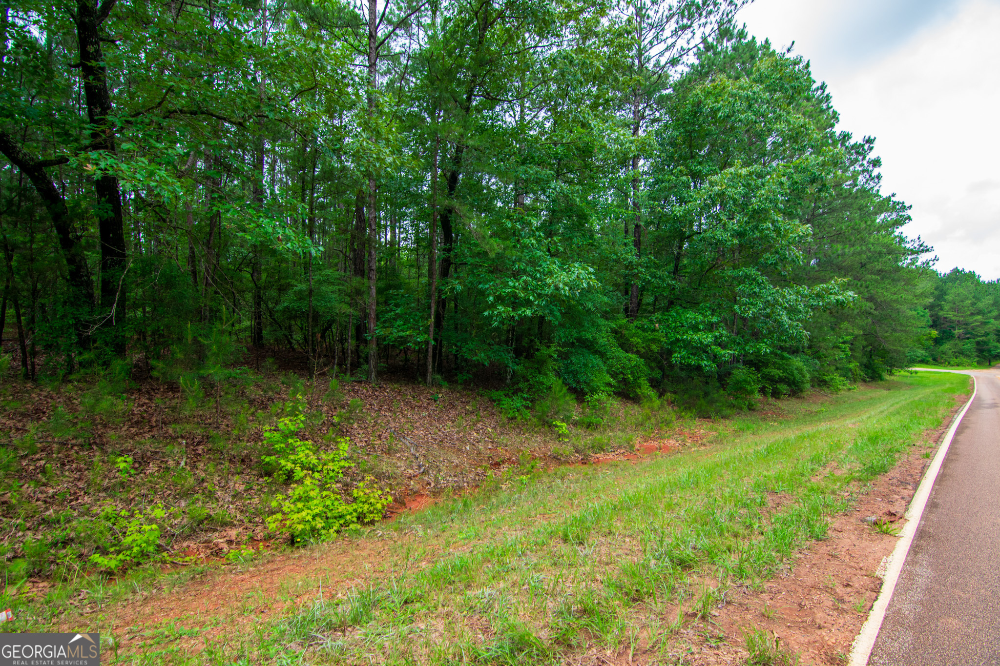 0 White Road Pine Mountain, GA 31822 - Photo 1 of 9