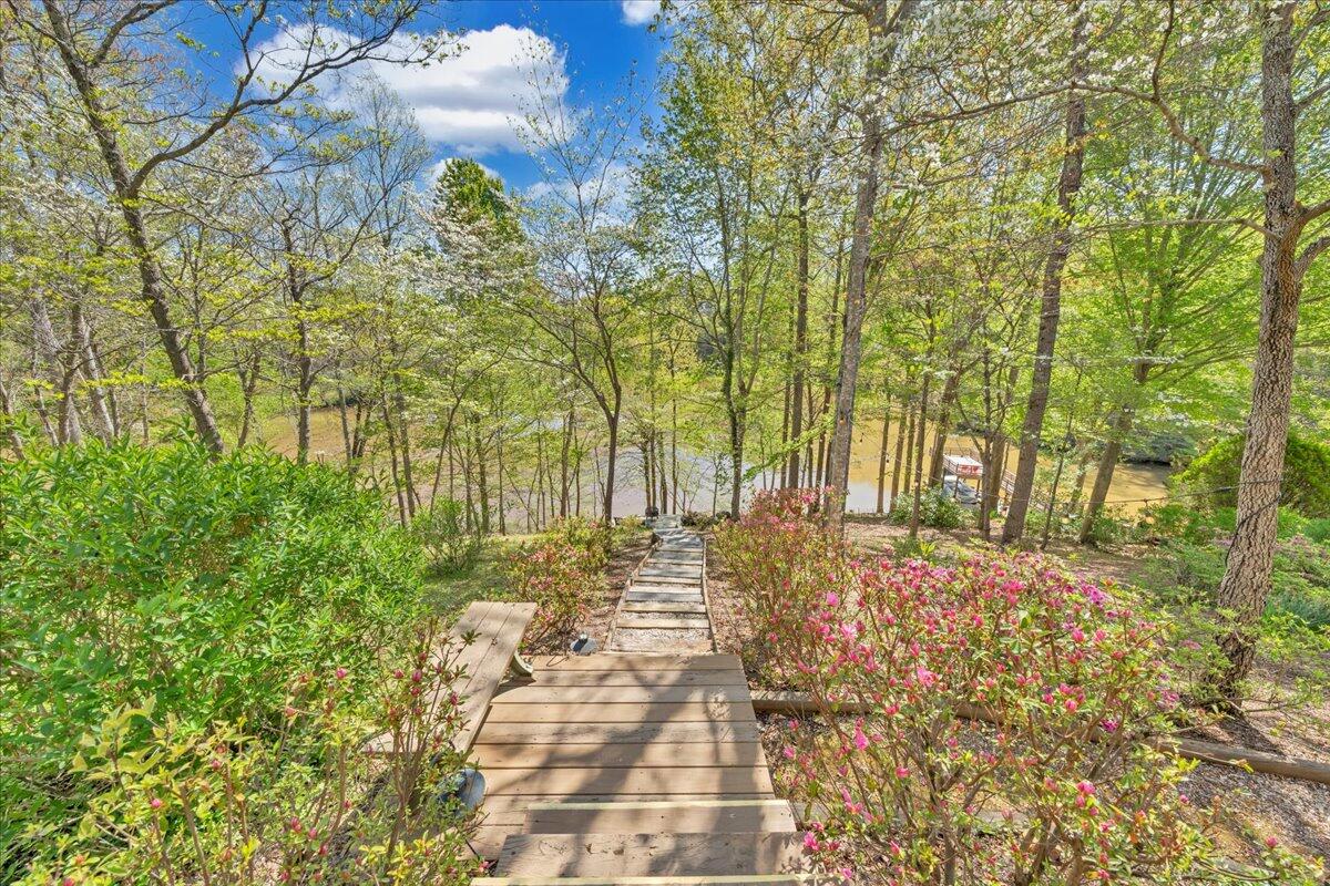 270 Forest Edge Road Wirtz, VA 24184 - Photo 61 of 79 a view of a yard with plants and trees