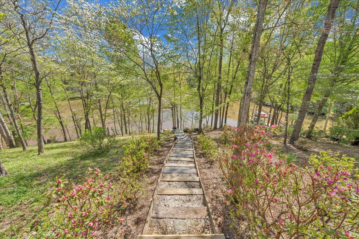 270 Forest Edge Road Wirtz, VA 24184 - Photo 62 of 79 a pathway of a yard