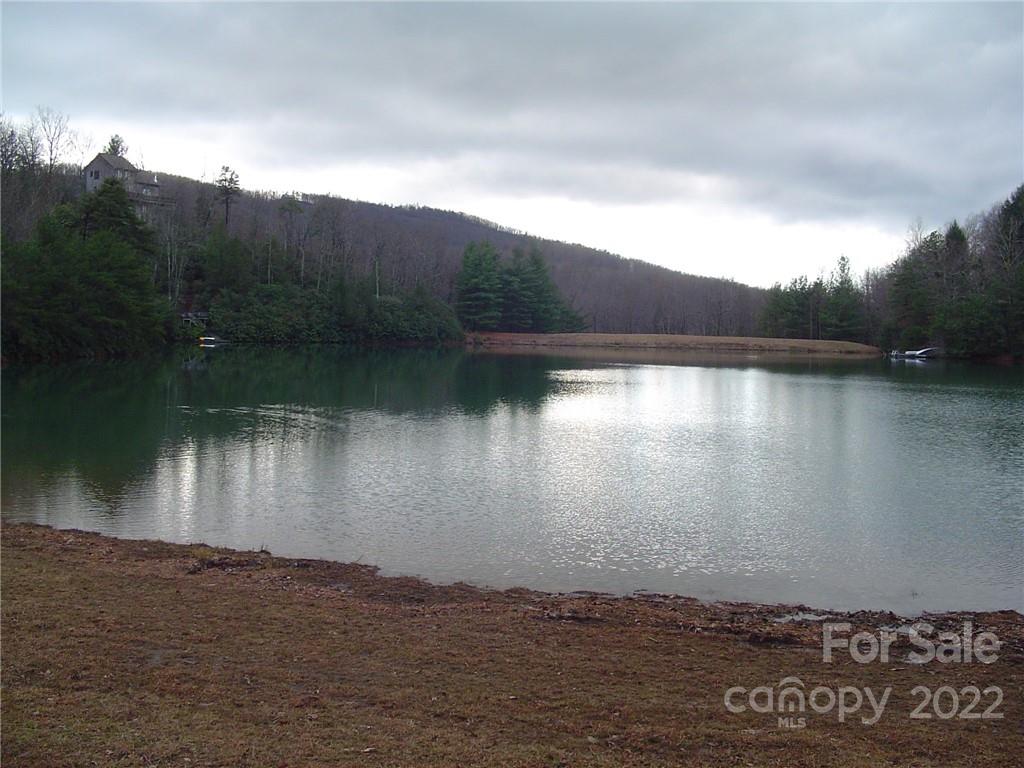 55 Summit Road Tryon, NC 28782 - Photo 19 of 23